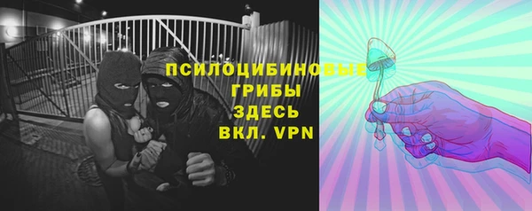 стаф Зеленодольск