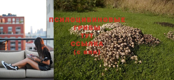 стаф Зеленодольск