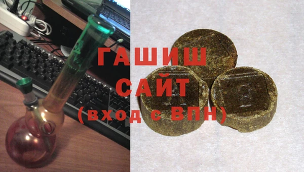 гашик Янаул