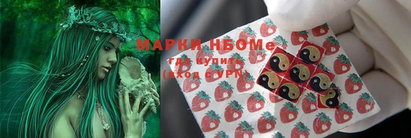 стаф Зеленодольск